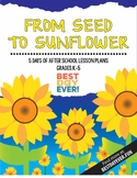 From Seed to Sunflower After School Activities