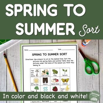 Preview of From Spring to Summer Sort Worksheet
