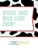 From the Cow to You! Learn how milk is made!