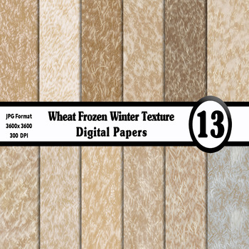 Preview of Wheat Frozen Winter Texture Digital Paper - 13 Different Backgrounds Clip Art