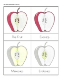 Fruit/Apple Montessori Nomenclature: parts of