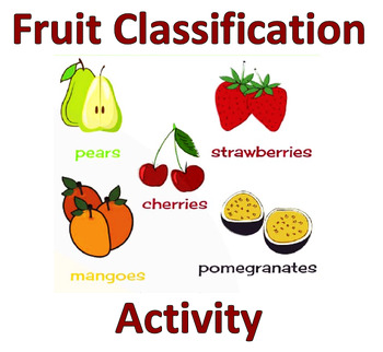 Preview of Fruit Classification Activity