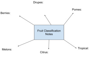 Preview of Fruit Classification Notes Template