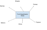 Fruit Classification Notes Template