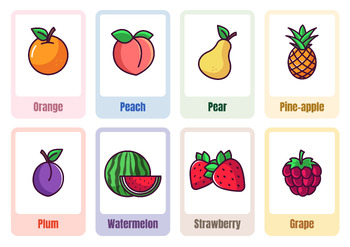 Preview of Fruit Flashcards Includes 16