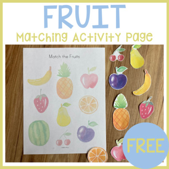 Preview of Fruit Food Matching Sorting - Busy Book Bag Learning Binder Activity - Toddler