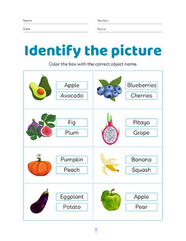 Preview of Fruit Identification worksheet