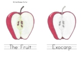Fruit: Lesson Book/Chart