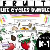 Fruit Life Cycle Bundle Apple, Peach, Pineapple, Pumpkin, 