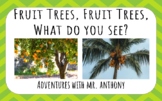 Fruit Trees, Fruit Trees, What do you see? (PDF) Creative 