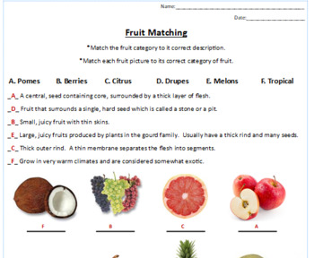 Preview of Fruit Types Matching
