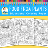 Fruit and Vegetable Coloring Book/ Coloring Pages/Cooking
