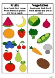 Fruit and Vegetable Poster!