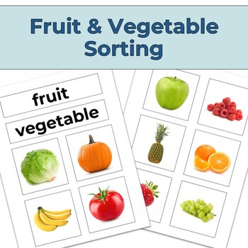 Fruit and Vegetable Sorting - Montessori Preschool Kindergarten Activity