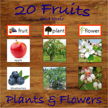 Preview of Fruits and their Trees / Plants and Flowers Categorization and Matching Activity