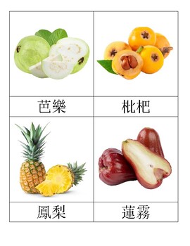Preview of Fruit of Taiwan Traditional Chinese Montessori Nomenclature cards 台灣 水果