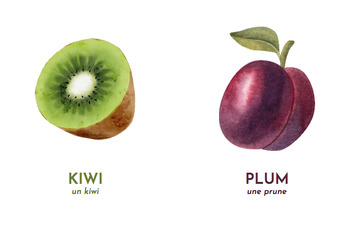 Preview of Fruits & Vegetables Flash Cards - English with French