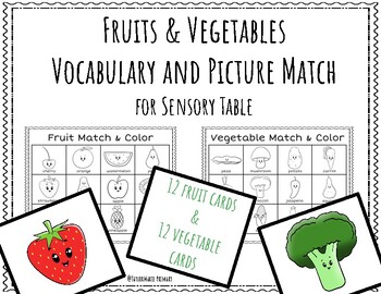Preview of Fruits & Vegetables Vocabulary and Picture Match for Sensory Table