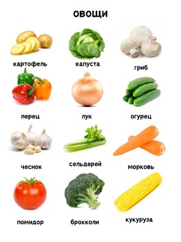 Preview of Fruits and Vegetables in Russian