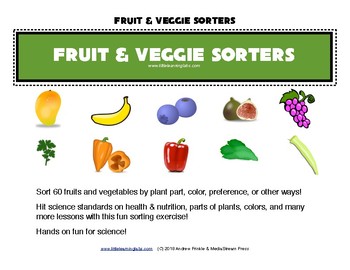 Preview of Fruits and Veggies sorting activity - science center for primary grades