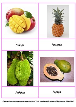 Preview of Fruits of the World - Classifying Activity Cards & Poster Package