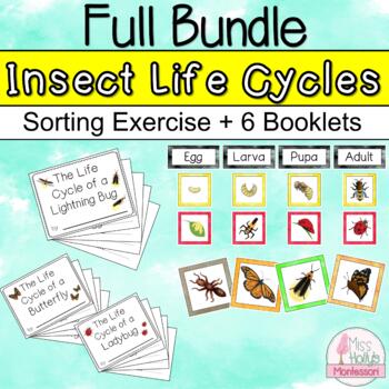 Preview of Full Insect Life Cycle BUNDLE- Stages Sorting Exercise & 6 Student-Made Booklets