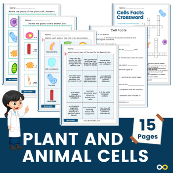 Preview of Full Plant and Animal Cell Worksheets and Activity Cards