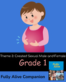 Fully Alive Grade 1 Theme Three Created Sexual Male and Fe