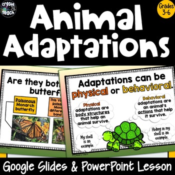 Preview of Animal Adaptations Interactive Google Slides & Powerpoint Lesson