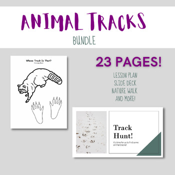 Preview of Fun Animal Tracks Activity