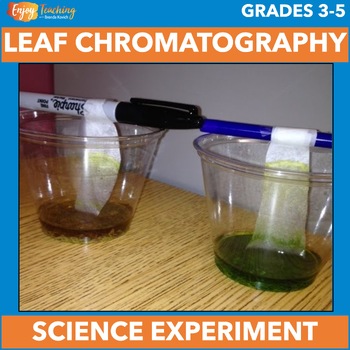 Preview of Fun Autumn Science Experiment – Fall Leaves Chromatography Lab or Project