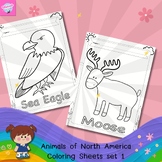 Fun Coloring Pages of North American Animals Set 1 - Anima
