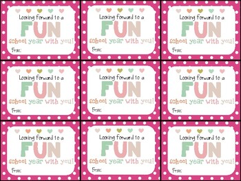 Fun Dip Beginning of Year Gift Tag (Looking forward to a fun school year!)