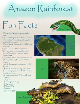 Preview of Fun Fact Sheet Amazon