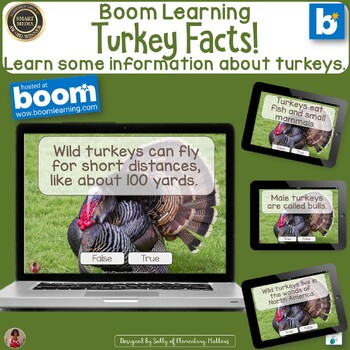 Preview of Fun Facts About Turkeys Boom Learning Digital Task Cards