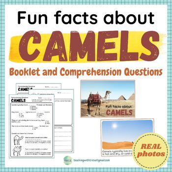 Desert Biome - Camels: Informational Booklet, Comprehension Questions