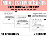 Fun First Grade Phonics Decodables - Glued Sounds - Scienc