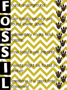 Preview of Fun Fossils Anchor Chart