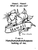 Fun Hawaii State Symbol Student Book