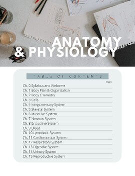 Preview of Fun High School Anatomy Syllabus Example and Canva Template