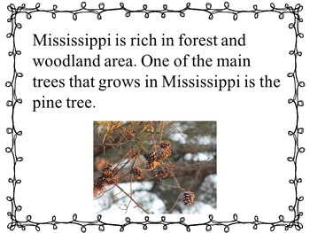 Mississippi: Fun Facts and Activities by 2Cute Classrooms | TpT