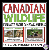 Canadian Animals Presentation - Wildlife in Canada Introdu