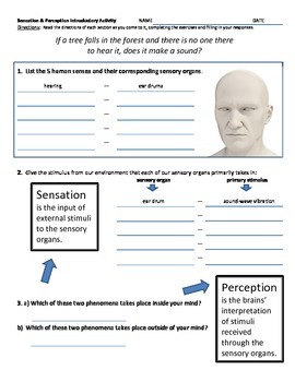 Preview of Psychology - Fun Activity for Perception - If a tree falls in the forest...?