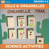 Plant and Animal Cells Activities, Organelle Trail Project