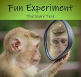 Fun Science Experiment - The Stare Test