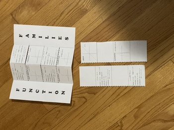 Preview of Function Families - Weaved Booklet Foldable