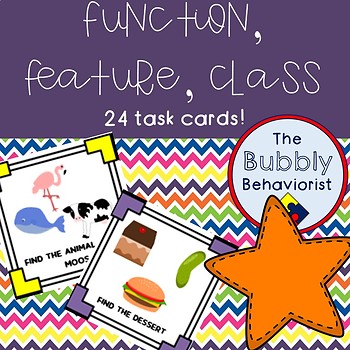 Preview of Function, Feature, Class Task Cards