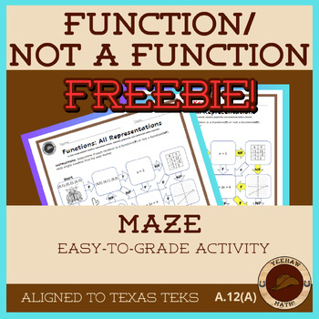 Preview of Function/Not a Function Maze Activity Freebie