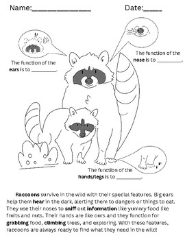 Preview of Function of Common Animal Body Parts First Grade Coloring Sheet Ph.D Science