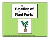Function of Plant Parts